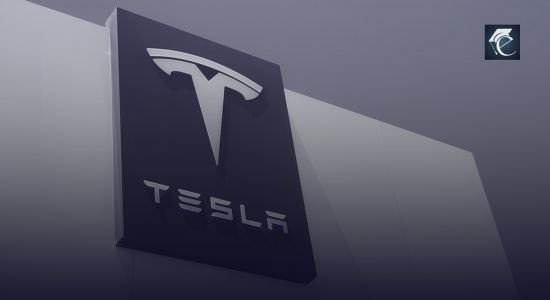 Tesla Robotaxi