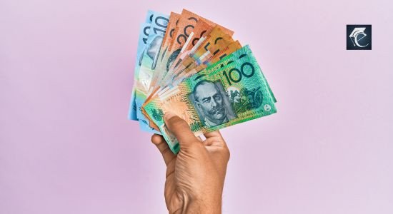 Visa Fees