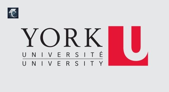York University